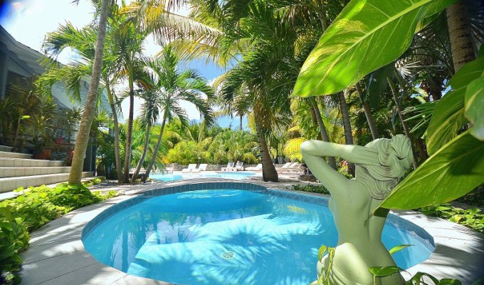 Location villa de luxe à St Martin avec piscine privée et près du village de Baie Orientale