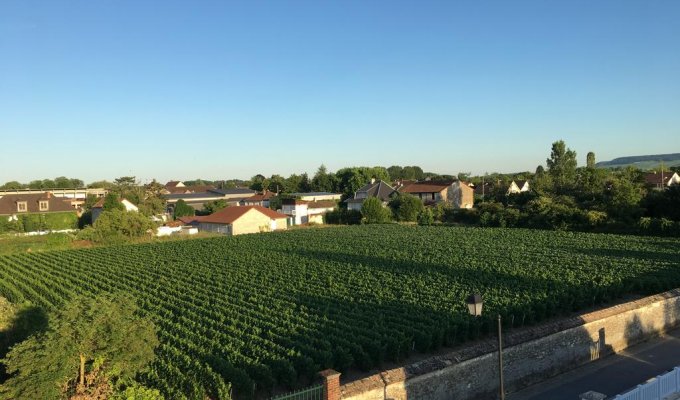 Location Maison vacances Champagne bord de Marne au cœur du vignoble Épernay
