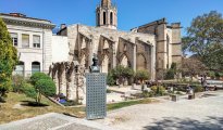 Saint Remy de Provence photo #36