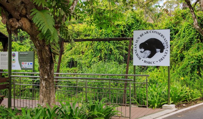 Centre de conservation de l'ours solaire de Bornéo