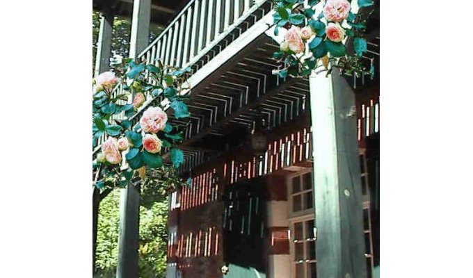 Balcon Louisiane fleuri