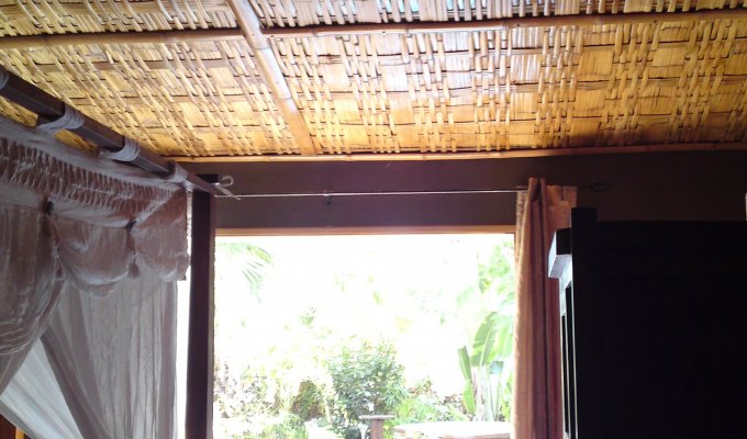 plafond en bambou