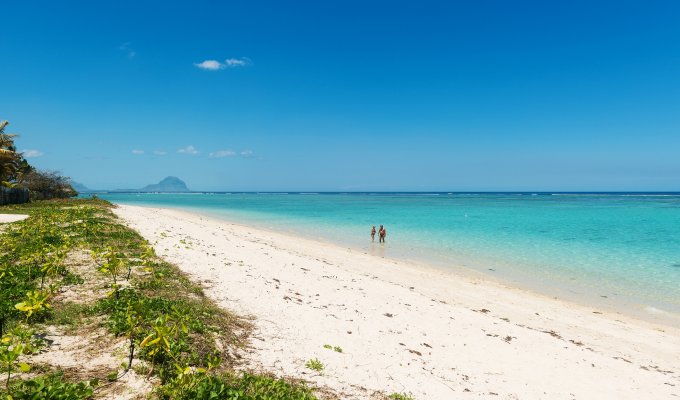 Location Appartement à Flic en Flac en front de mer avec piscine et vue sur l’océan 