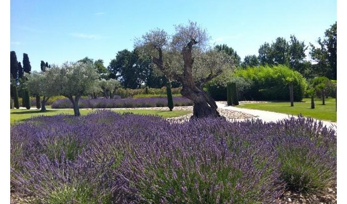 Location villa luxe Saint Remy de Provence avec piscine privee & personnel