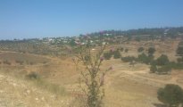 Afula photo #2