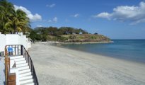 Farallon photo #10