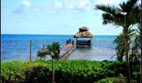 Ambergris Caye  photo #14