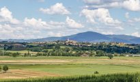 Arezzo Cortona photo #33