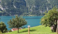 Walensee photo #37