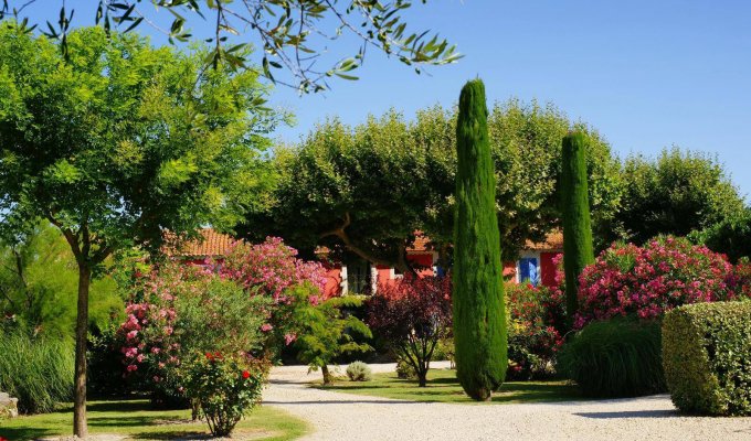 Location villa luxe Saint Remy de Provence avec piscine privee