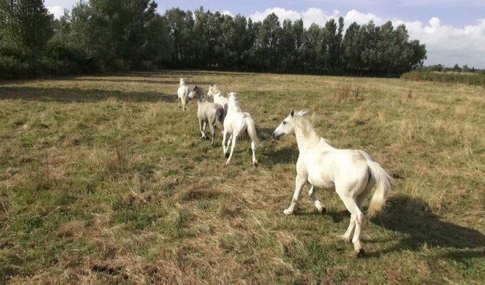 Camargue location villa Cote de Provence avec Piscine et spa