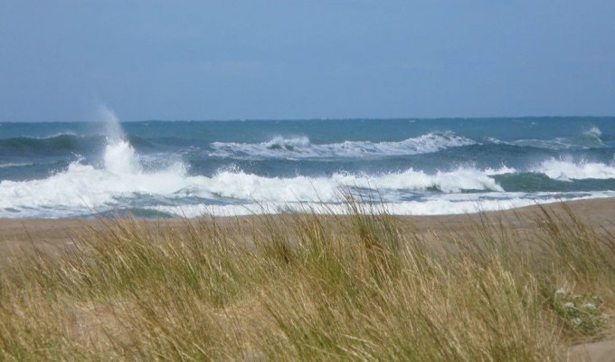 Camargue location villa Provence Bord de Mer