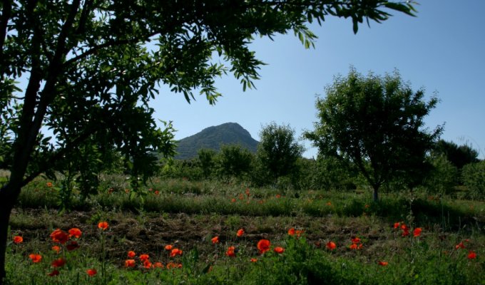 Provence location gite Aix en Provence avec piscine