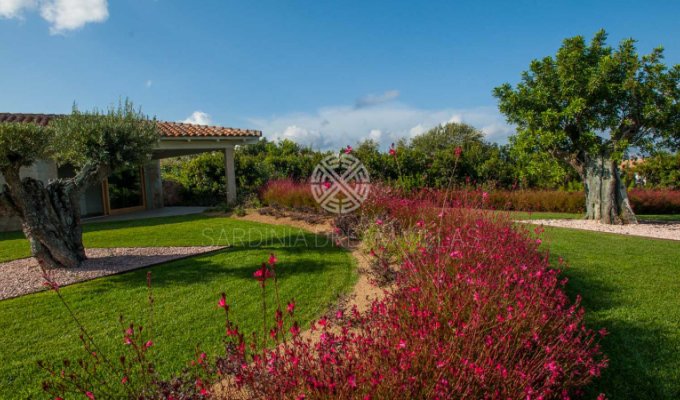 Location villa en Sardaigne avec piscine privée et Personnel