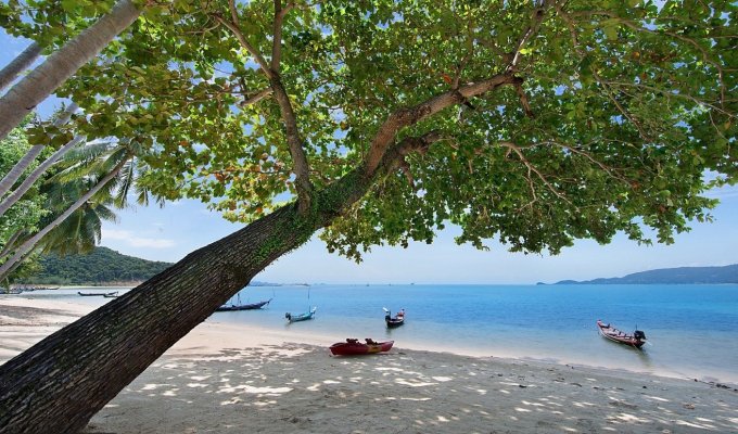 Thailande Location Villa à Koh Samui en front de mer avec piscine privée et Personnel