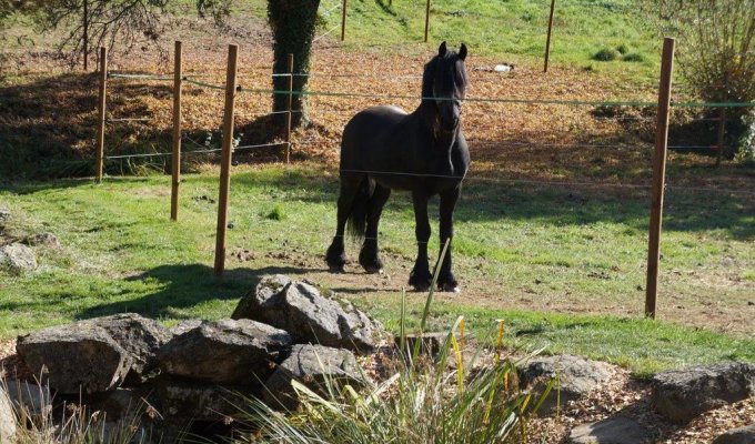 Vendee Location Maison Vacances Puy du Fou pour groupe