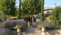 Luberon photo #14