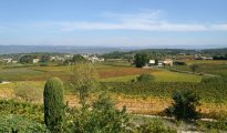 Luberon photo #13