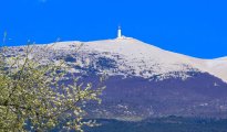 Mont Ventoux photo #13