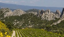 Mont Ventoux photo #14