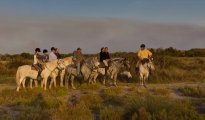 Parc Camargue photo #8