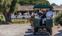 Parc Camargue photo #12