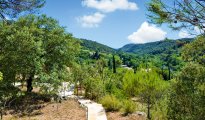 Mont Ventoux photo #5