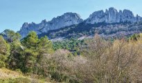 Mont Ventoux photo #20