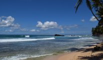 Galle photo #14