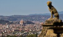 Florence photo #14