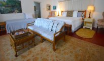 Ocho Rios photo #11