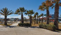Perpignan photo #30