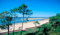 Arcachon photo #13