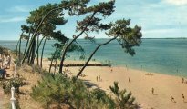 Arcachon photo #11