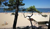 Arcachon photo #12