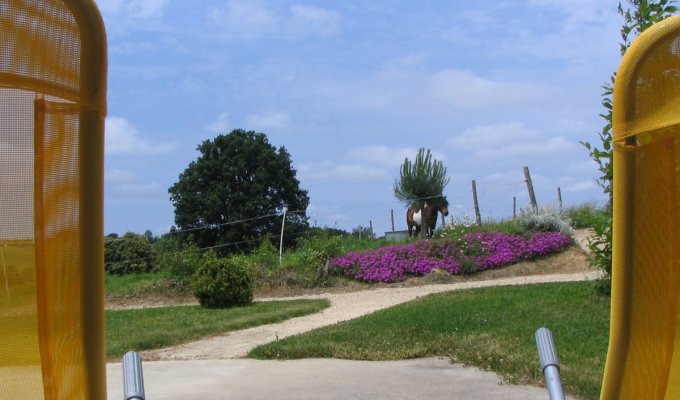 Vendee Location Maison Vacances Puy du Fou (30 minutes) avec piscine chauffée