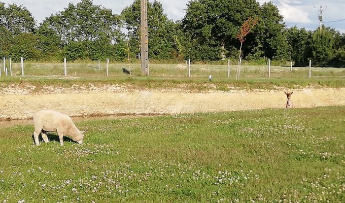 Vendee Location Maison Vacances Challans avec piscine chauffée pour groupe