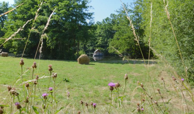 Location Maison de Charme Pays de la Loire au bord d'un lac