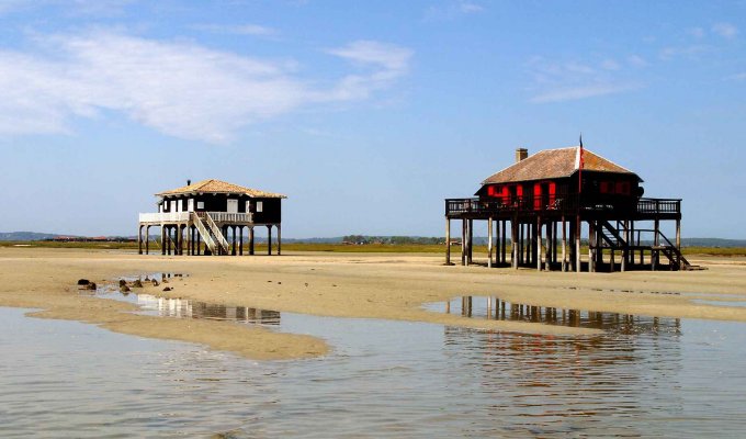 Location villa Pyla Arcachon piscine chauffee