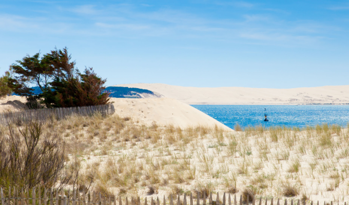 location villa luxe Cap Ferret Bassin d'Arcachon piscine