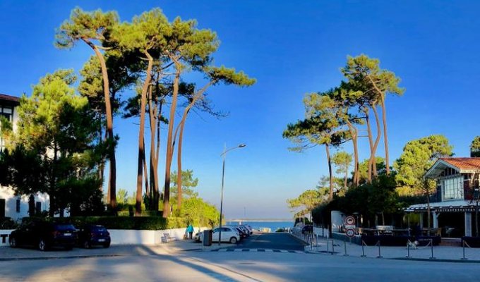 location villa Pyla sur mer plages Bassin Arcachon