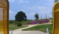 Puy du Fou photo #11