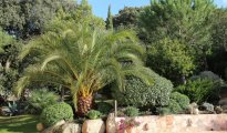 Porto Vecchio photo #9