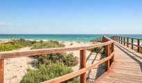 Alicante photo #21