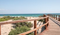Alicante photo #26