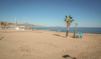 Alicante photo #24