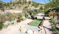 Alicante photo #23