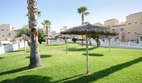 Alicante photo #6