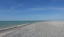 Baie de Somme  photo #14