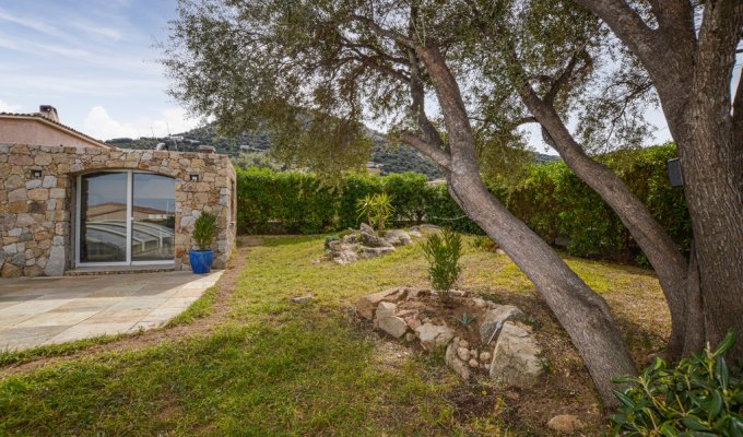 location villa Corse avec piscine